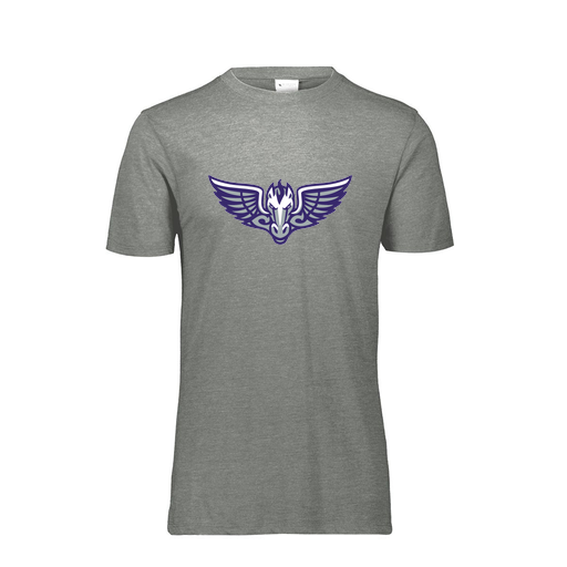 [FTSCUBGY-AS-LOGO1] Decker Men's Tri-Blend T-Shirt - Short Sleeve (Adult S, Gray, Logo 1)