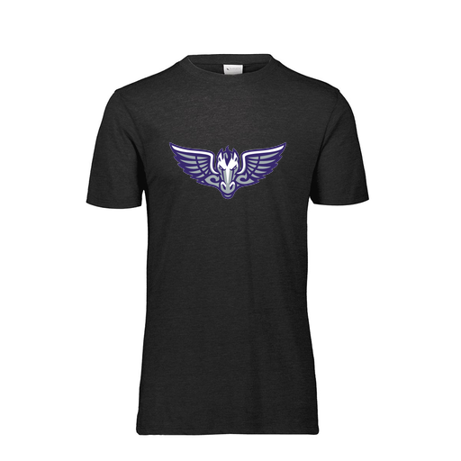 [FTSCUBBK-YS-LOGO1] Decker Youth Tri-Blend T-Shirt - Short Sleeve (Youth S, Black)