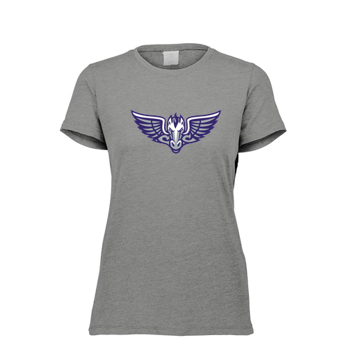 [FTSCUBGY-FAXS-LOGO1] Decker Women's Tri-Blend T-Shirt - Short Sleeve (Female Adult XS, Gray)